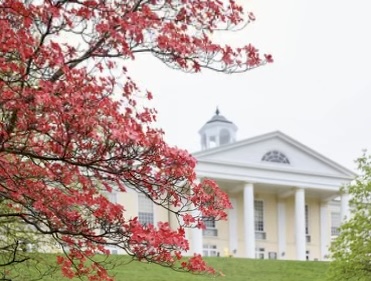 This image has an empty alt attribute; its file name is provided-image.jpg